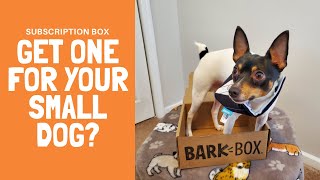 What's Inside the BarkBox for Small Dogs?