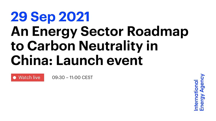 An Energy Sector Roadmap to Carbon Neutrality in China: Launch event - DayDayNews