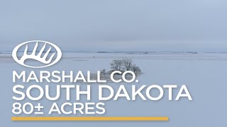 Marshall County, SD 80± acres