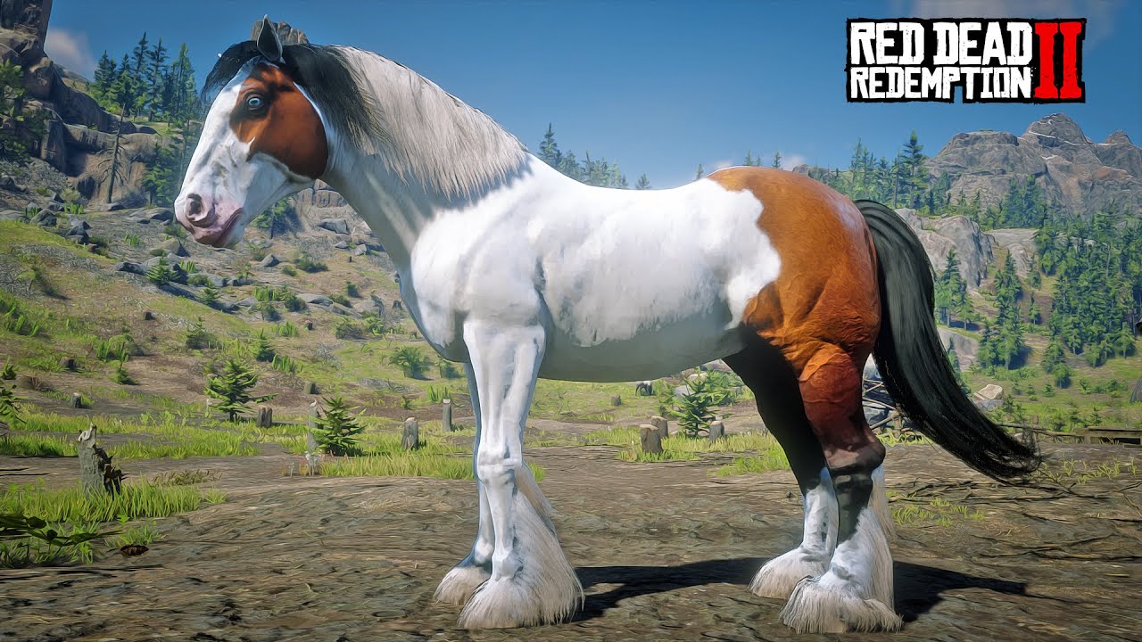 John Marston Discovers a Beautiful Huge Gypsy Cob Horse at Diablo Ridge ...