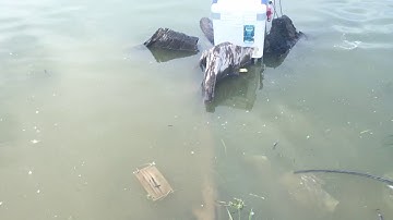 Câucâu đài hồ suối  rao , cần thủ duy mạnh