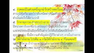 โปรตีน (protein) by kittitad