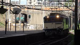 牛乳ﾊﾟｯｸも激減! JR貨物EF64 1022号機+EF64 1018号機+ﾀｷ11B 8084ﾚ 金山通過 (ﾎｲｯｽﾙ警笛付き)
