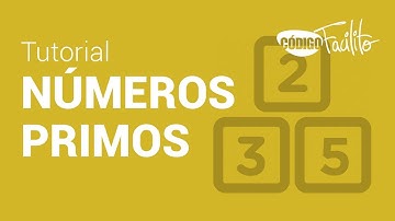 Números Primos en C - Bytes