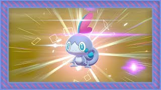 [LIVE] Shiny Sobble hatches after 1,617 eggs in Pokemon Sword [Full odds]