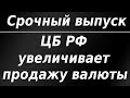 Срочно! Минфин поддержит рубль! ЦБ РФ увеличивает продажу валюты в 2,5 раза!