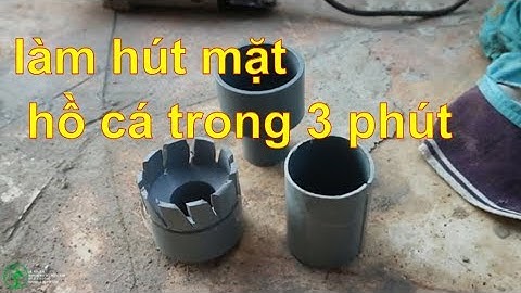 làm hút mặt hồ cá trong 3 phút không thể dễ hơn