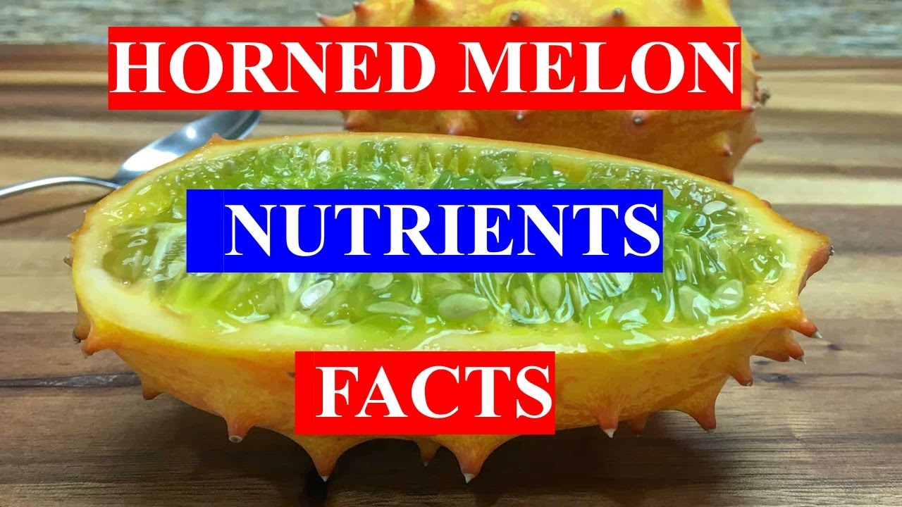 HORNED MELON FRUIT HEALTHY BENEFITS AND NUTRIENTS FACTS YouTube