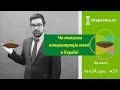 Чи можлива концентрація землі в Україні. Зелені гектари #56