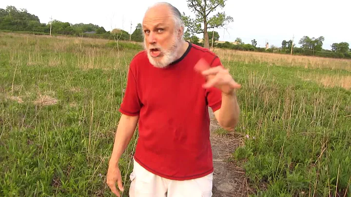 Prairie Rap by Jim Hodapp