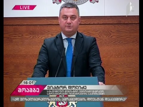 ვიქტორ დოლიძე: მეტი საქართველო ევროპაში