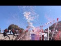 Gibraltar National Day 2015 Balloon Release