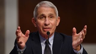 Fauci Says New Covid Cases Could Rise to 100,000 a Day If No Change
