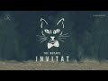 The Motans - Invitat | Official Audio