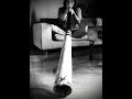 Minute of Pure Didgeridoo Vibrations#Didgeridoo#WorldMusic #SoundHealing#Instrumental#RelaxingSounds
