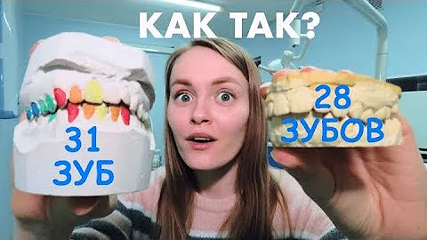 Сколько зубов у человека? 32? Вы уверены?!
