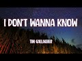 Tim Gallagher - I Don't Wanna Know