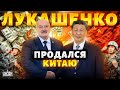Лукашенко слетел с катушек В шоке даже Кремль китайцы заполонили Минск Будет памятник Си Лукашенко слетел с катушек В шоке даже Кремль китайцы заполонили Минск Будет памятник Си
