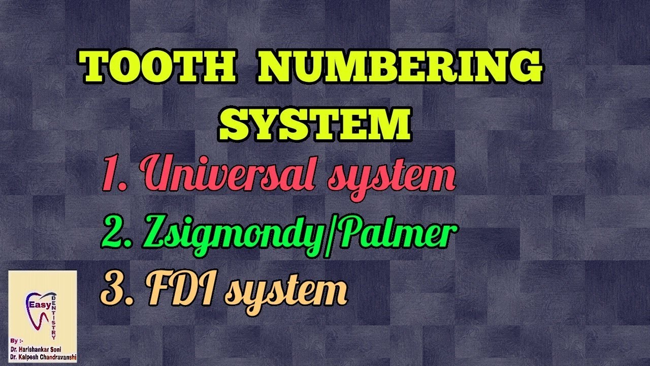 Zsigmondy Palmer Charting