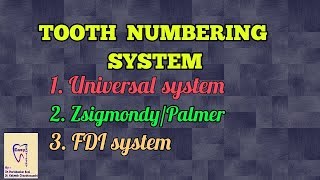 Tooth numbering system