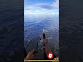 Мой первый палтус на Норвежском Море! #shorts #русскаярыбалка4 #рр4 #русскаярыбалка4фарм