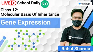 Class 12 | Molecular Basis Of Inheritance | Gene Expression | Biology | Rahul Sharma