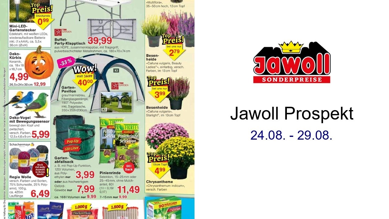 Jawoll Prospekt 24.08