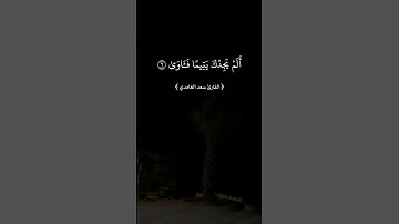 قناة الواتساب والتيليجرام في البايو ) سورة الضحى القارئ سعد الغامـدي