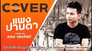 แพงปานตา - ออย แสงศิลป์【Cover Version】 chords