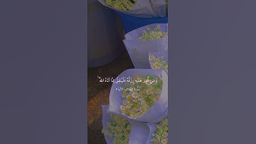 سورة الطلاق - الآية ٧