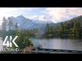 8 hours of birds singing on the lakeshore and water sounds  relaxing nature sounds  mount shuksan