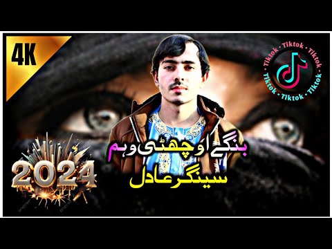            سینگر عادل پشتو نوی ٹپی
