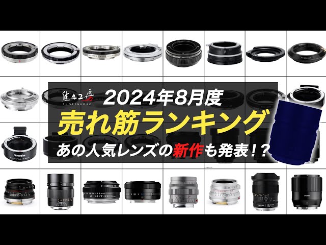 焦点工房】2024年8月 売れ筋ランキング！【未公開の新作発表も