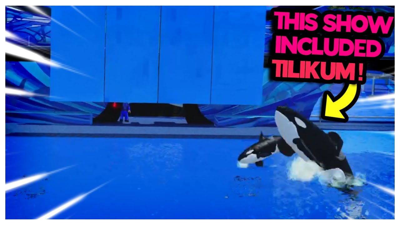 THIS SHOW FEATURED TILIKUM! One Ocean - Shamu Stadium, SeaWorld Orlando