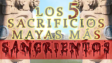 ¿Qué hacían los mayas con la sangre?