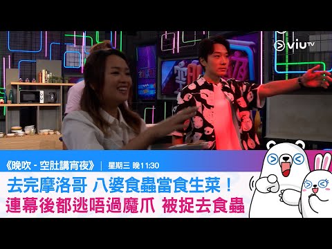 《晚吹   空肚講宵夜》去完摩洛哥 八婆食蟲當食生菜！連幕後都逃唔過魔爪 被捉去食蟲