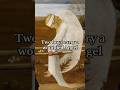 A wounded angel, carried in silence.. But no-one knows why?#art #history #painting #shorts #facts