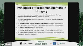 Forestry Practice Hungary by Pal Bodis |BioScreen &amp; Just Energy Transition Conference, July, 2022