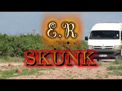 Sunny-B (sunny site records and E.R skunk) zwinzhi zwi tshe phanda mp3