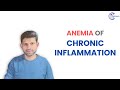 Anemia of Chronic Inflammation | Robbins Pathology