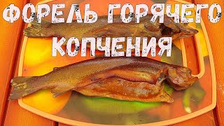 Радужная форель горячего копчения. Простой рецепт форели.