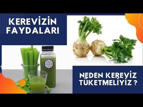 KEREVİZİN FAYDALARI / Kereviz Sapı Nasıl Kullanılır / Kerevizin Zararları