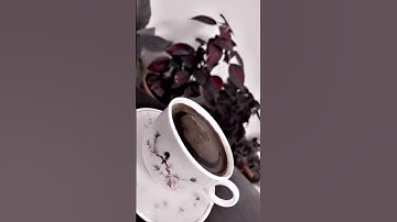 تلاوة خاشعة للقارئ بلال دربالي