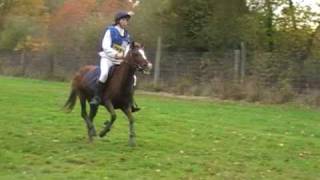 cce des ormes