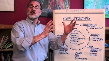 What Is Visual Processing?