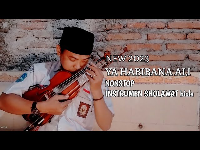 Ya Habibana Ali (Nonstop) | Instrumen nonstop Cover Biola | New 2023 class=