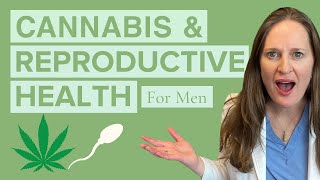 What You Need to Know about Marijuana and Male Factor Fertility  Dr Lora Shahine