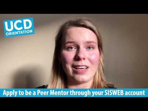 UCD Peer Mentoring - Apply Through SISWEB