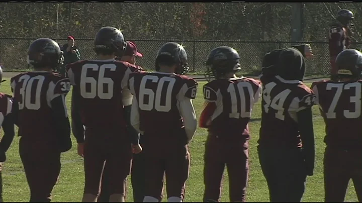 Ludlow Lions beat Palmer Panthers 12-0, in holiday...