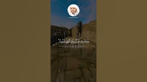 إن الله عنده علم الساعة وينزل الغيث ويعلم ما في الأرحام وما تدري نفس ماذا تكسب غدا﴾القارئ ياسر الدوس